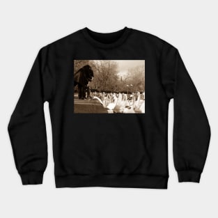 Tourists feeding the swans in Windsor, England, UK Crewneck Sweatshirt